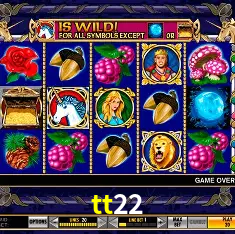 tt22 São Paulo - Live Tables